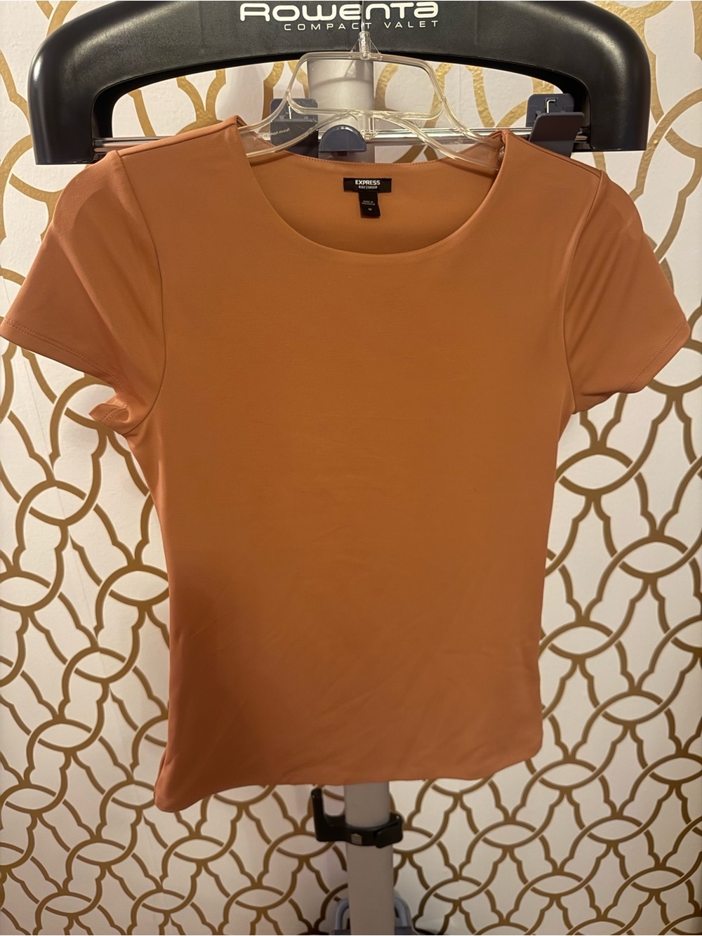 Express Women's Body Contour Short Sleeve Scoop Neck Top - Burnt Orange
